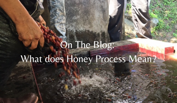 What is Honey Processed Coffee?