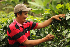 Carbon Sequestering: How Our Farmers Combat Climate Change
