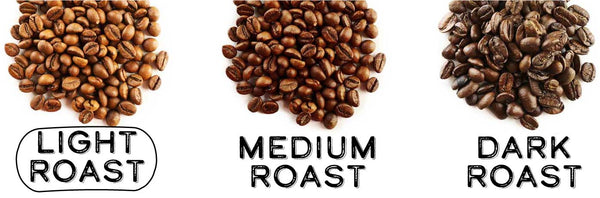 Light Roast Coffees