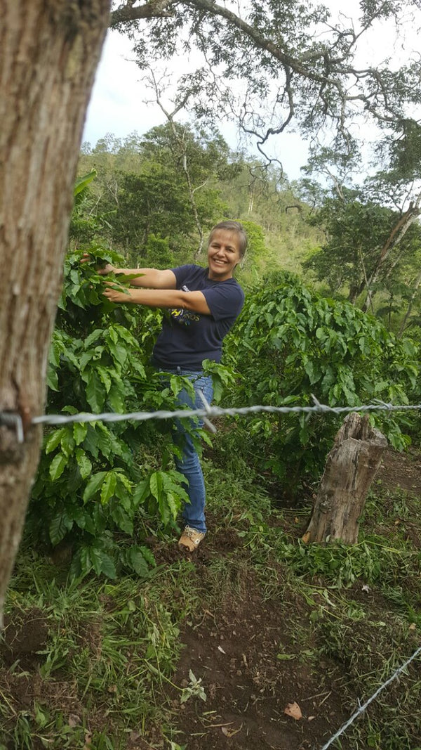 LIMITED OFFERING | Honduras - Miriam Betty Perez