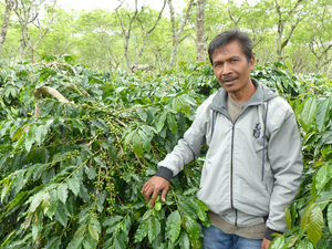 The Coffee Price Crisis, Fair Trade, and How We Pay Our Producers