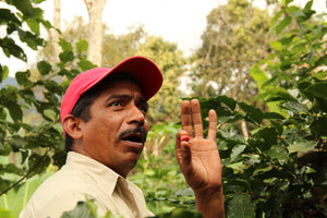 What is Cooperative Coffees’ Impact Fund?