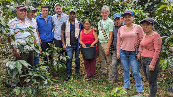 SEASONAL OFFERING | Colombia Cauca