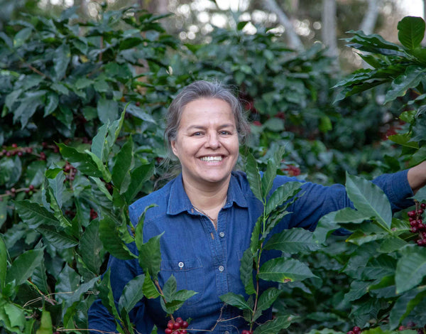 SEASONAL OFFERING | Honduras Natural Microlot