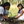 SEASONAL OFFERING | Colombia Anei