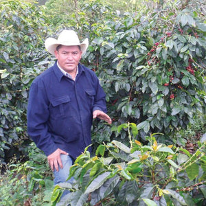 Comsa Coop coffee farmer in Honduras 