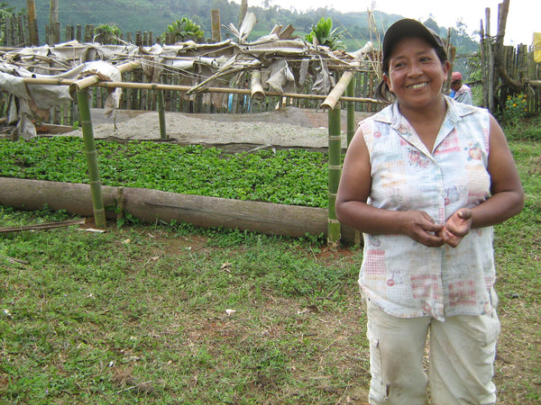 SEASONAL OFFERING | Colombia Cauca