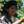 SEASONAL OFFERING | Colombia Anei