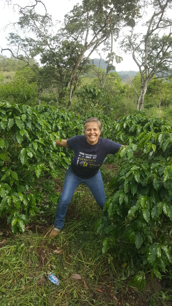 SEASONAL OFFERING | Honduras