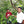 SEASONAL OFFERING | Colombia Cauca