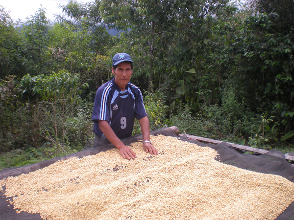 SEASONAL OFFERING | Bolivia