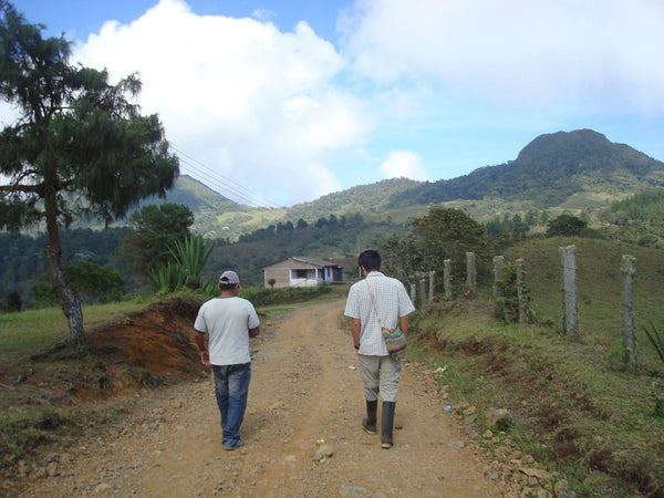 SEASONAL OFFERING | Colombia Cauca