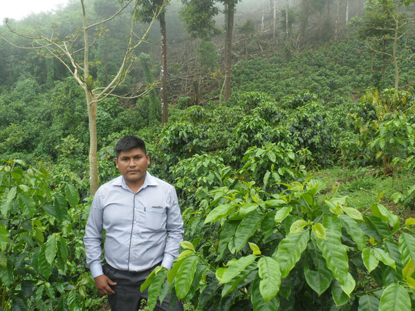 SEASONAL OFFERING | Bolivia