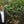 SEASONAL OFFERING | Colombia Cauca