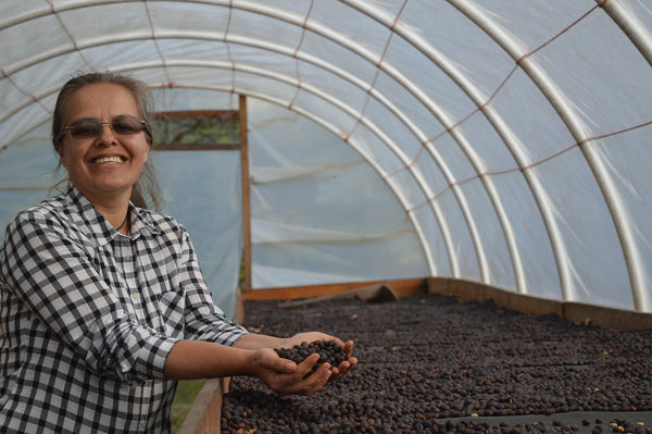 SEASONAL OFFERING | Honduras Natural Microlot