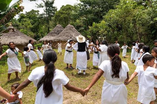 SEASONAL OFFERING | Colombia Anei
