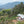 SEASONAL OFFERING | Colombia Cauca