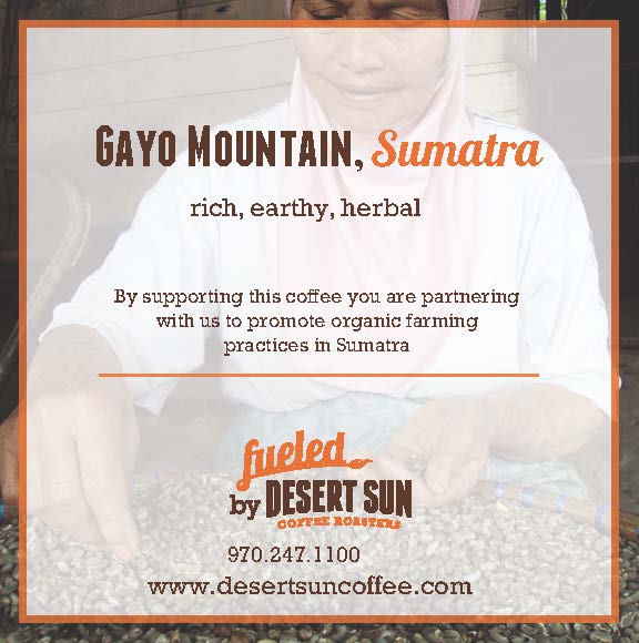 Desert Sun Coffee Sumatra Tasting Notes: Rich, Earthy, Herbal